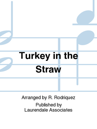 Book cover for Turkey in the Straw