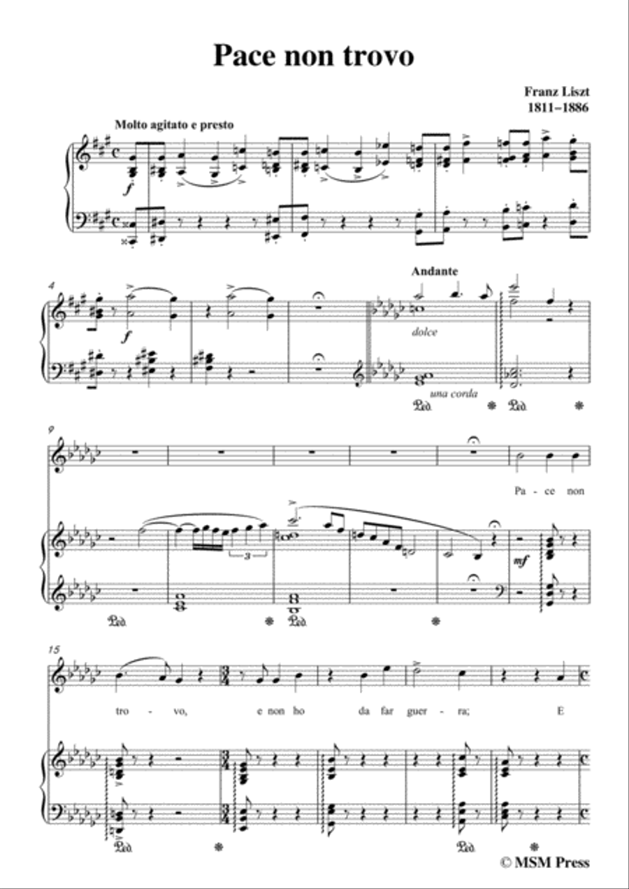 Liszt-Pace non trovo in e flat minor,for Voice and Piano Voice Solo scores gallery preview page 3