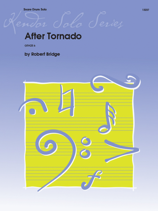 Book cover for After Tornado