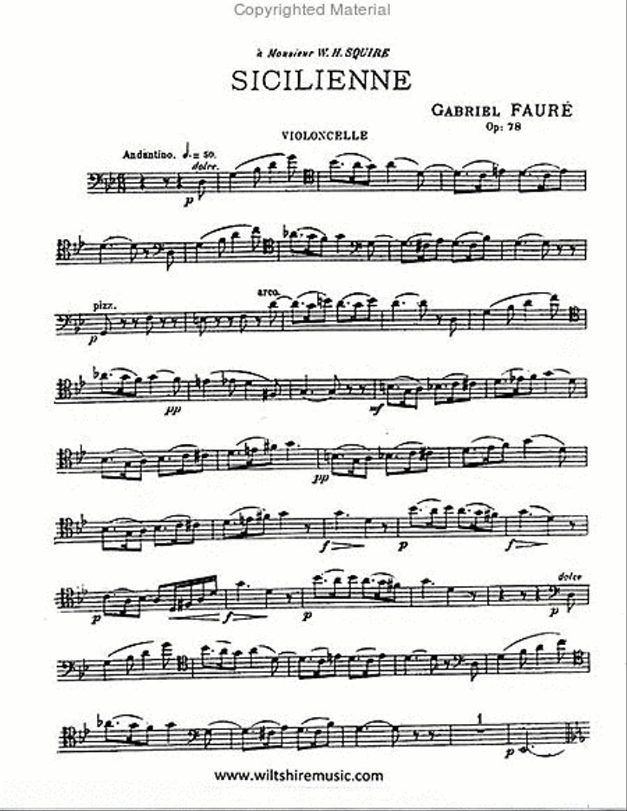 Sililienne, Op.78 Piano Accompaniment scores gallery preview page 2