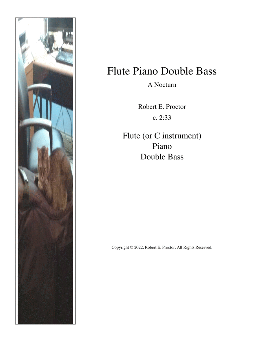 Flute Piano Double Bass - A Nocturn Flute scores gallery preview page 1