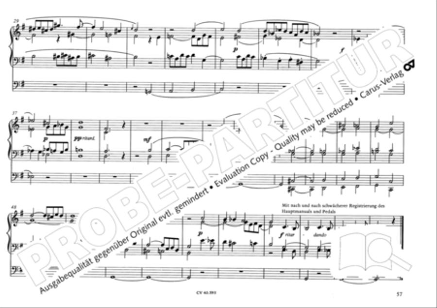Free Organ Music from the Romantic Period, Vol. I (Freie Orgelmusik der Romantik, Band I) Organ scores gallery preview page 62
