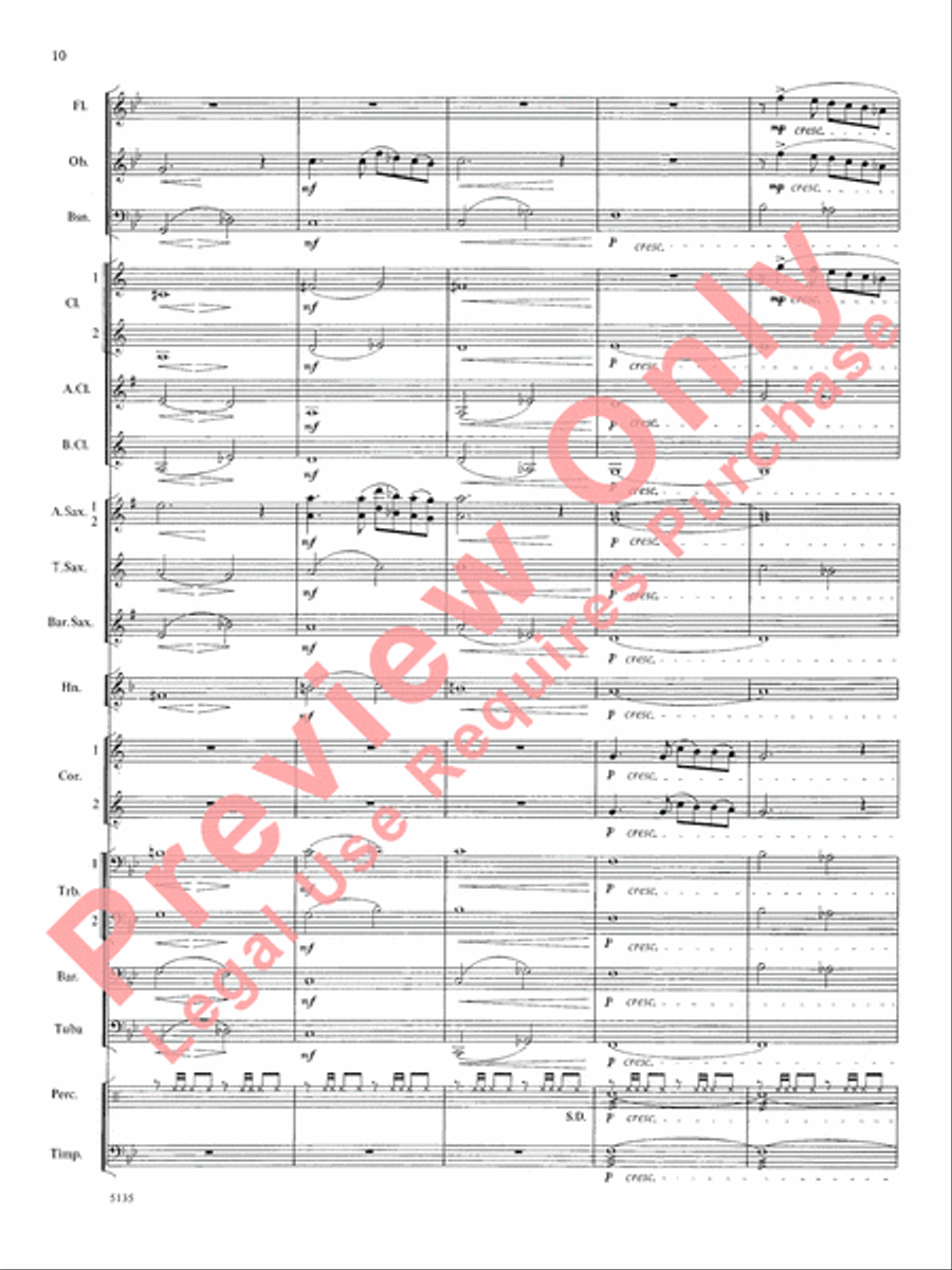 Procession of the Sardar Concert Band scores gallery preview page 11