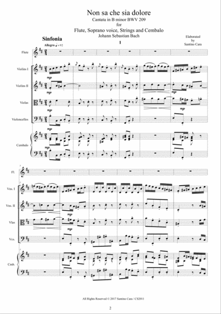 Bach - Non sa che sia dolore - Cantata BWV 209 for Flute, Soprano, Strings and Cembalo SA scores gallery preview page 2