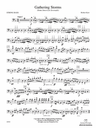 Gathering Storms (Movement 2 from American Serenade Symphony): String Bass