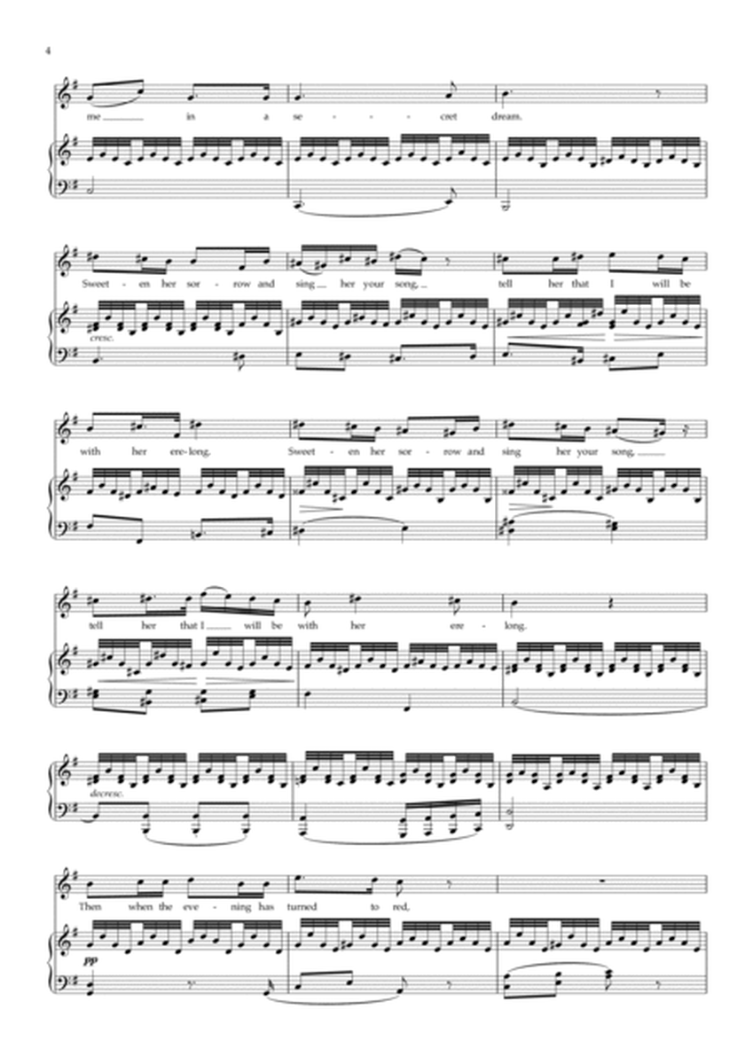 Schubert Swansong (Schwanengesang) translated Jeremy Sams (original keys)