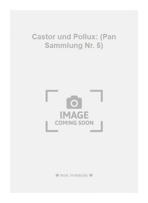 Castor und Pollux: (Pan Sammlung Nr. 5)