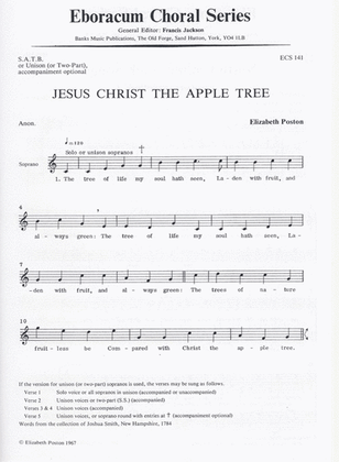 Book cover for Jesus Christ The Apple Tree