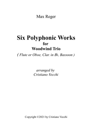 Book cover for Reger - Six Polyphonic Works for Woodwind Trio