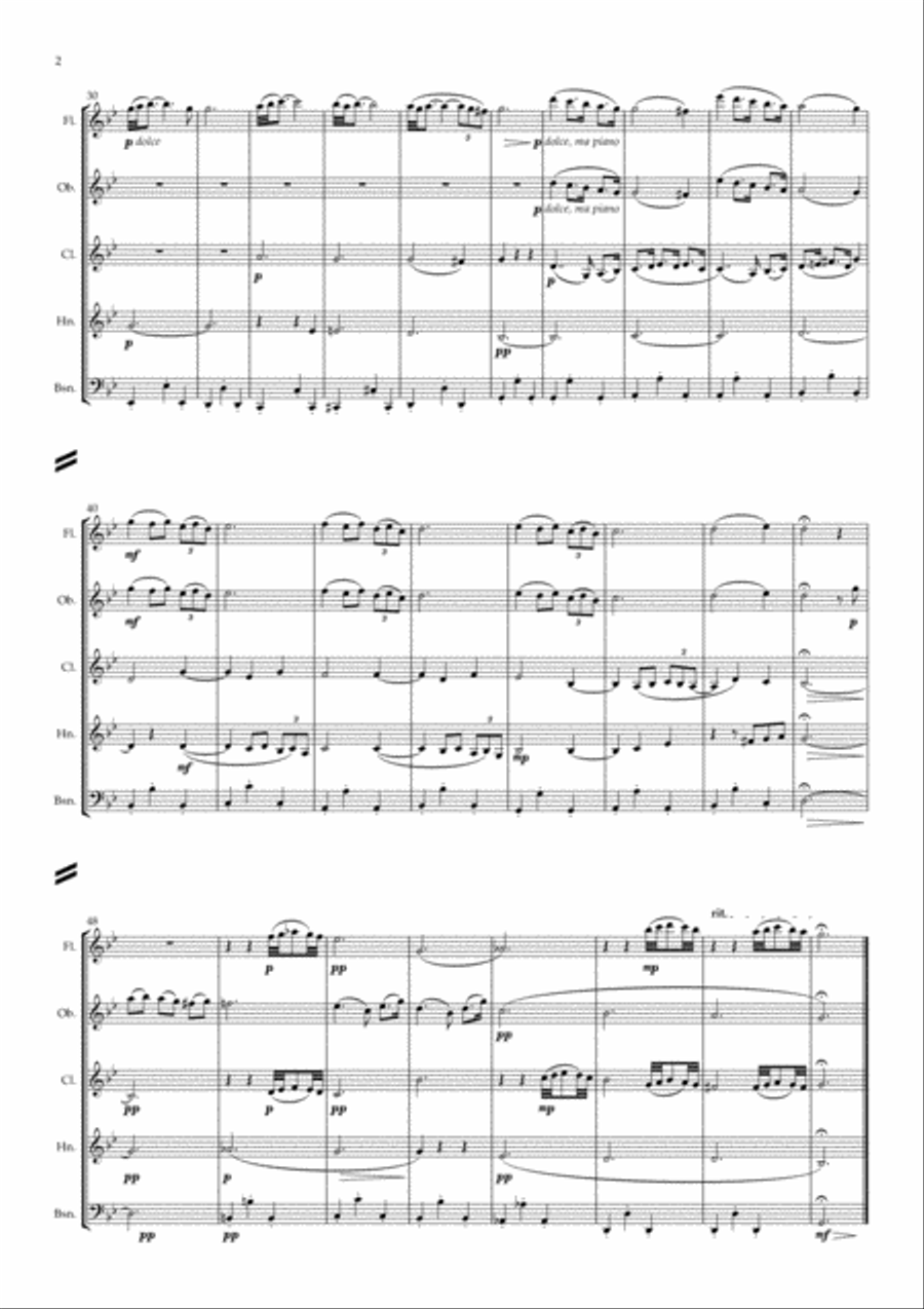 Albinoni: Adagio in G minor (Theme) - wind quintet Woodwind Quintet scores gallery preview page 2
