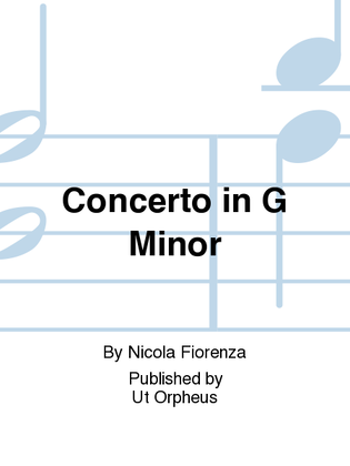 Book cover for Concerto in G Minor for Treble Recorder (Flute), 3 Violins and Continuo