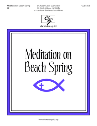 Meditation on Beach Spring