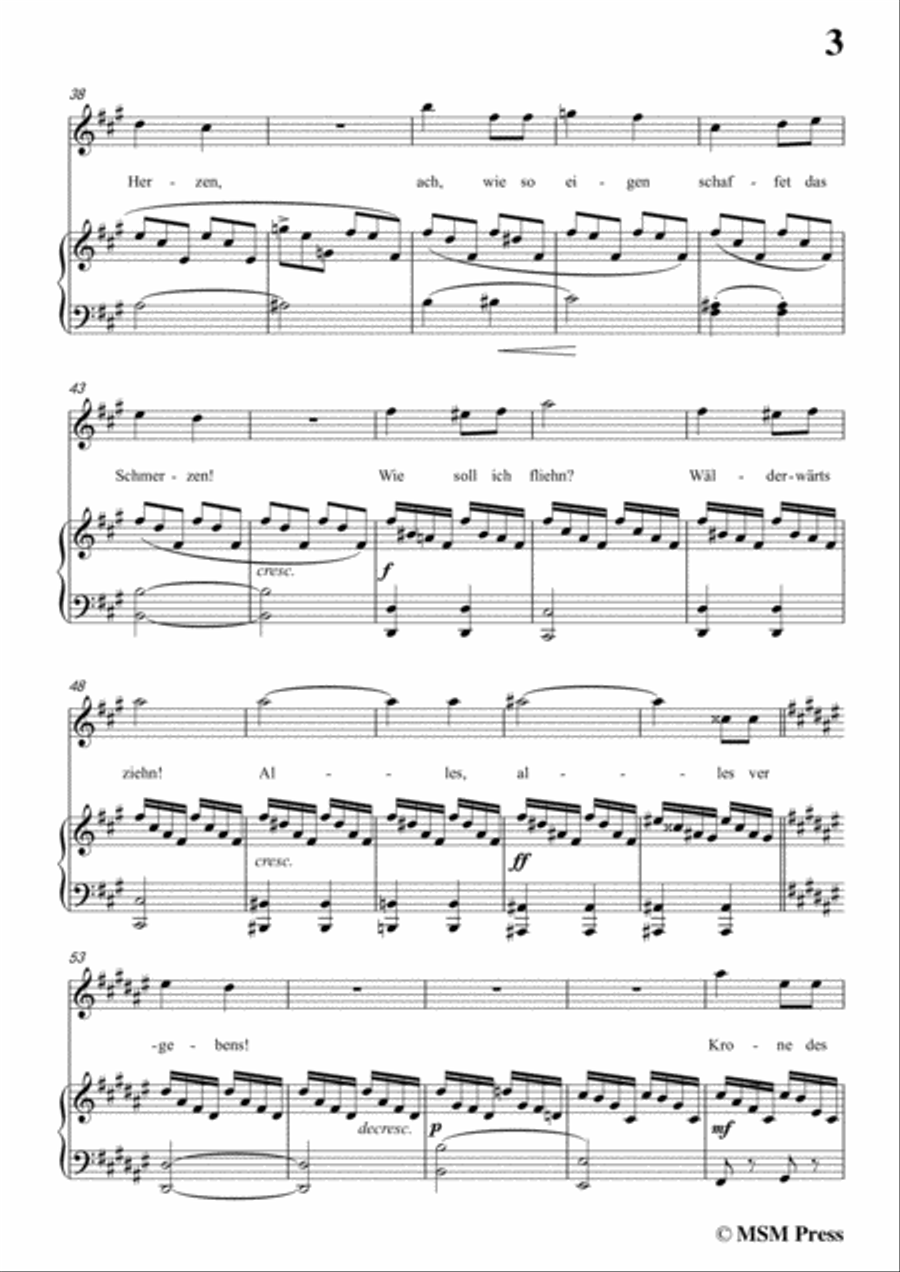 Schubert-Rastlose Liebe in F sharp Major,for voice and piano Voice Solo scores gallery preview page 5