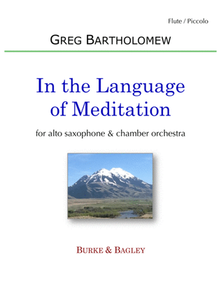 Book cover for In the Language of Meditation - Solo with Chamber Orchestra - PARTS