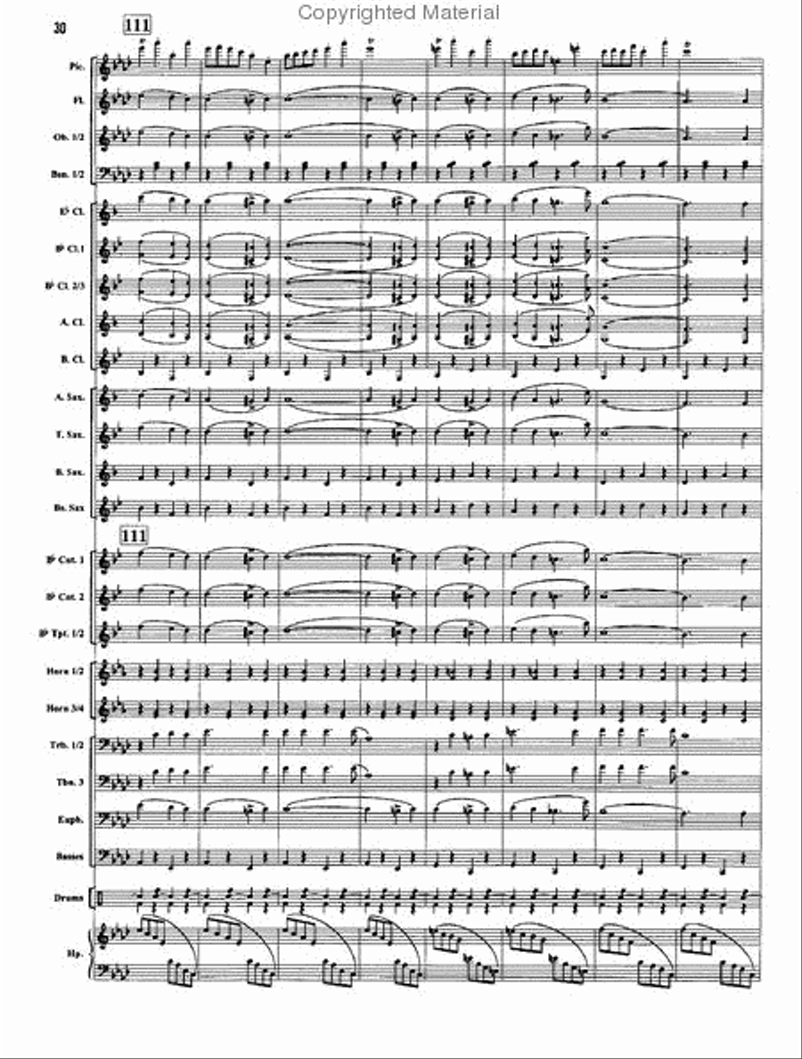 The Stars and Stripes Forever Concert Band scores gallery preview page 14