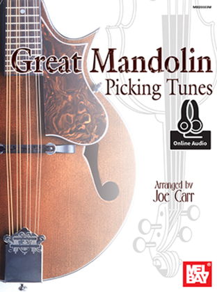 Book cover for Great Mandolin Picking Tunes