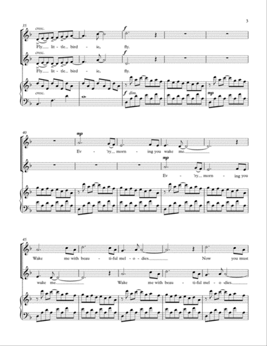 Fly Little Birdie SSA scores gallery preview page 4