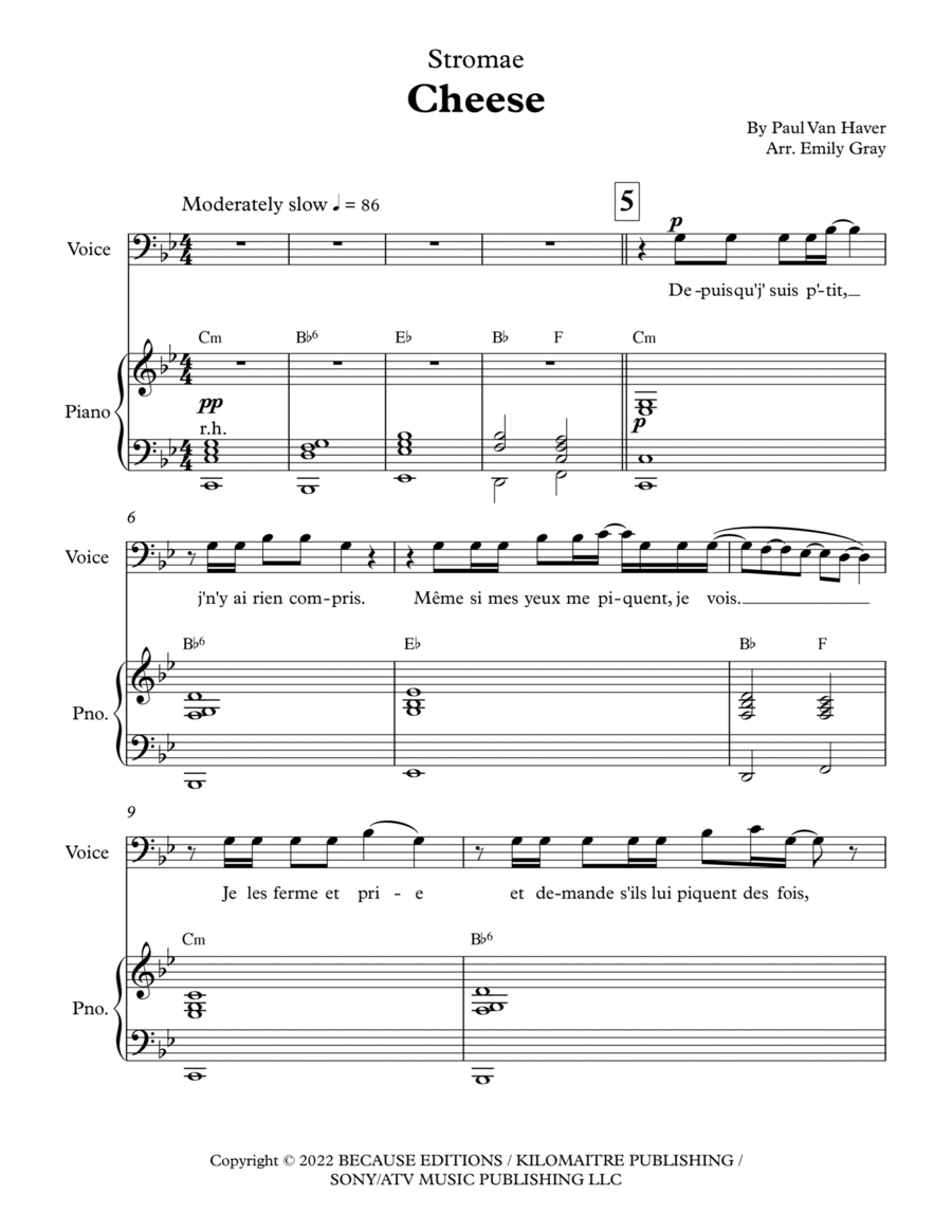 Cheese Piano, Vocal, Guitar scores gallery preview page 1