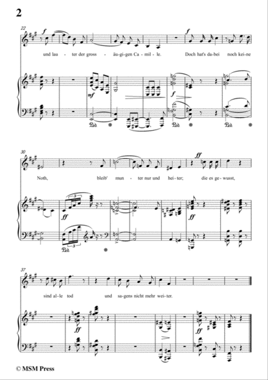 Richard Strauss-Die Verschwiegenen in f sharp minor,for Voice and Piano Voice Solo scores gallery preview page 4