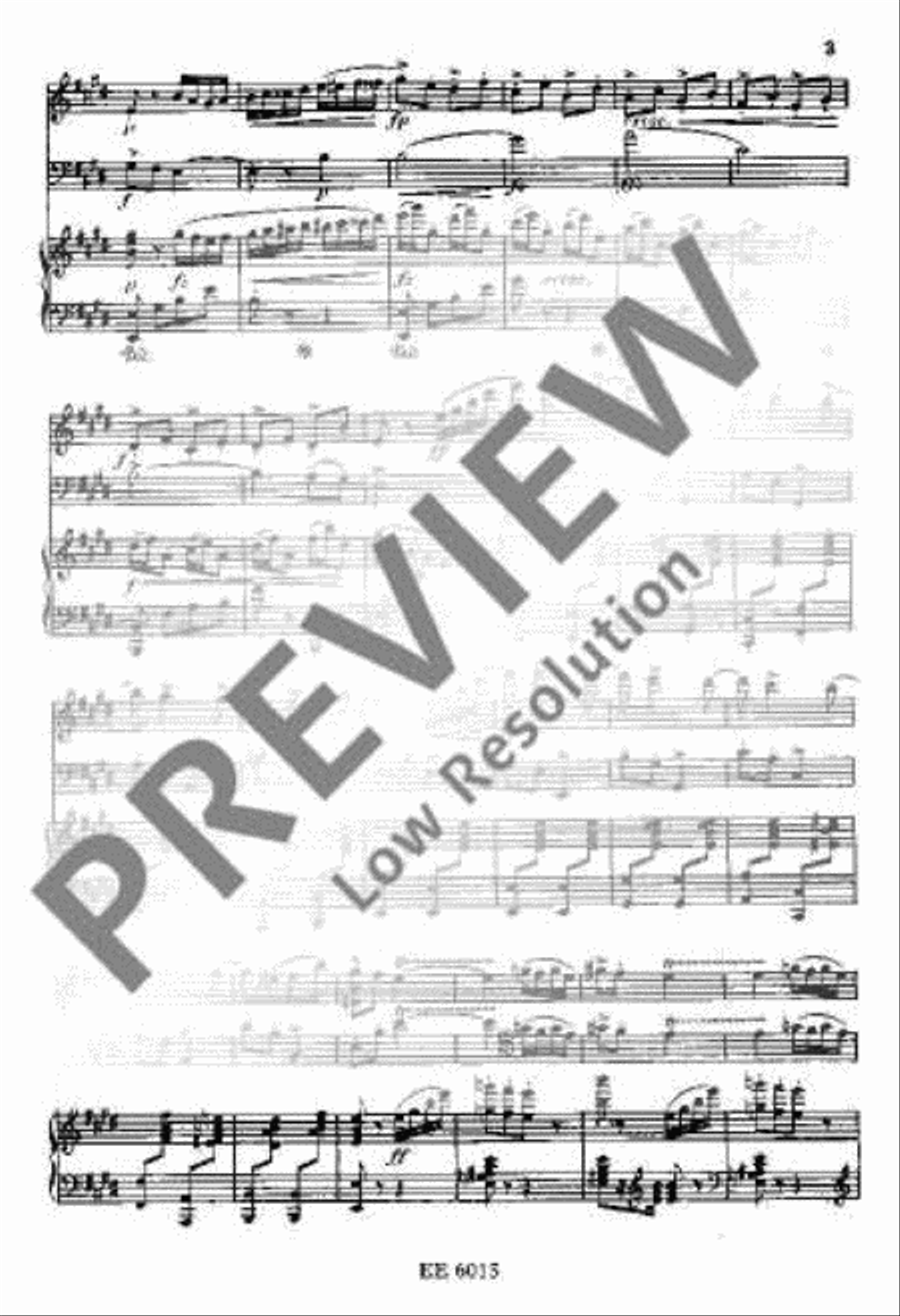 Piano Trio E minor Piano Trio scores gallery preview page 8