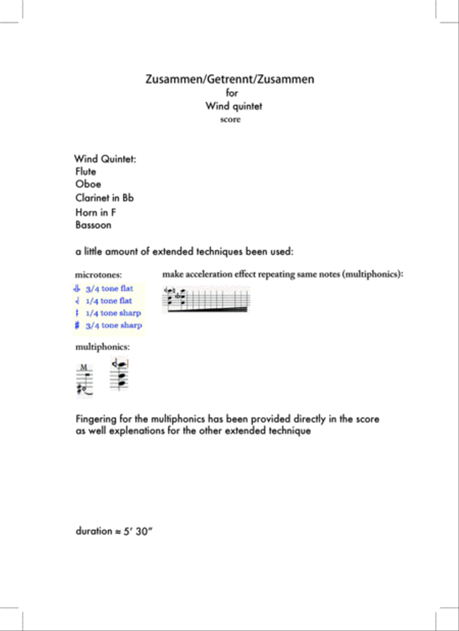 Zusammen/Getrennt/Zusammen - Woodwind Quintet Woodwind Quintet scores gallery preview page 2