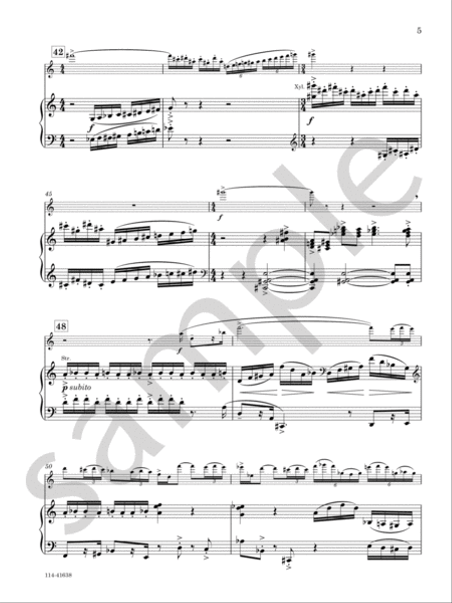 Concerto For Flute And Orchestra Chamber Music scores gallery preview page 5