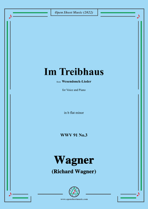 Book cover for R. Wagner-Im Treibhaus,in b flat minor,WWV 91 No.3,from Wesendonck-Lieder