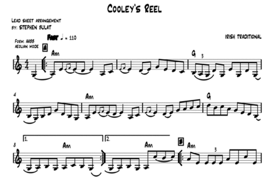 Cooleys' Reel (Irish Traditional) - Lead sheet (key of Am)