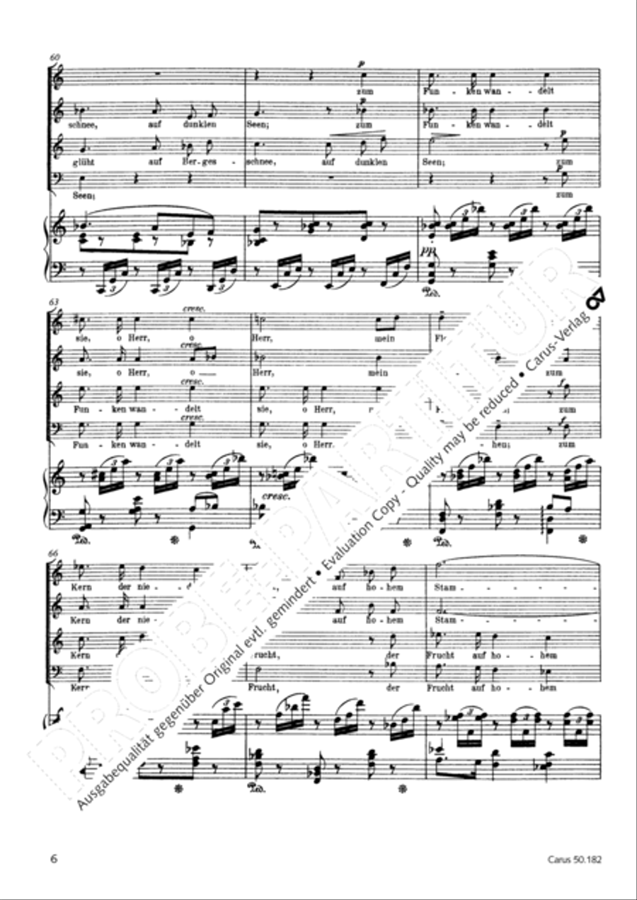 Vom Goldenen Horn 4-Part scores gallery preview page 9