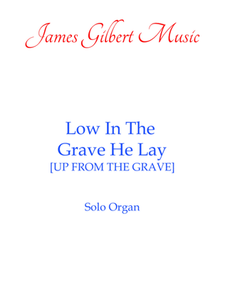 Book cover for Low In The Grave He Lay