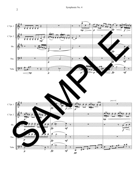 Symphony No. 4 - 1st Movement for Brass Quintet with Optional Percussion image number null