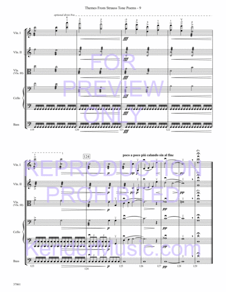 Themes From Strauss Tone Poems (Full Score)