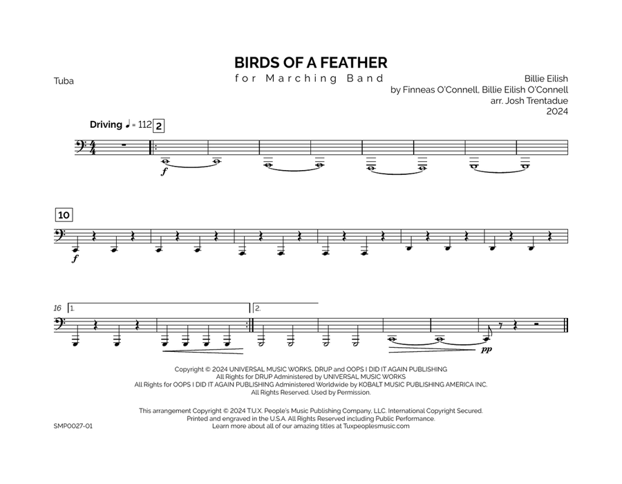 Birds Of A Feather Marching Band scores gallery preview page 6