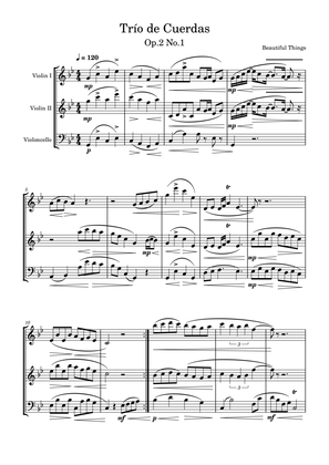 Trío de Cuerdas-Beautiful things Op.2 No.1