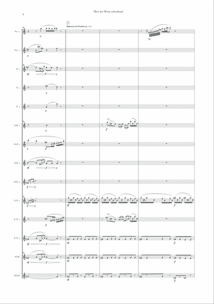 A Piccolo Poem Op.72 Piccolo scores gallery preview page 6