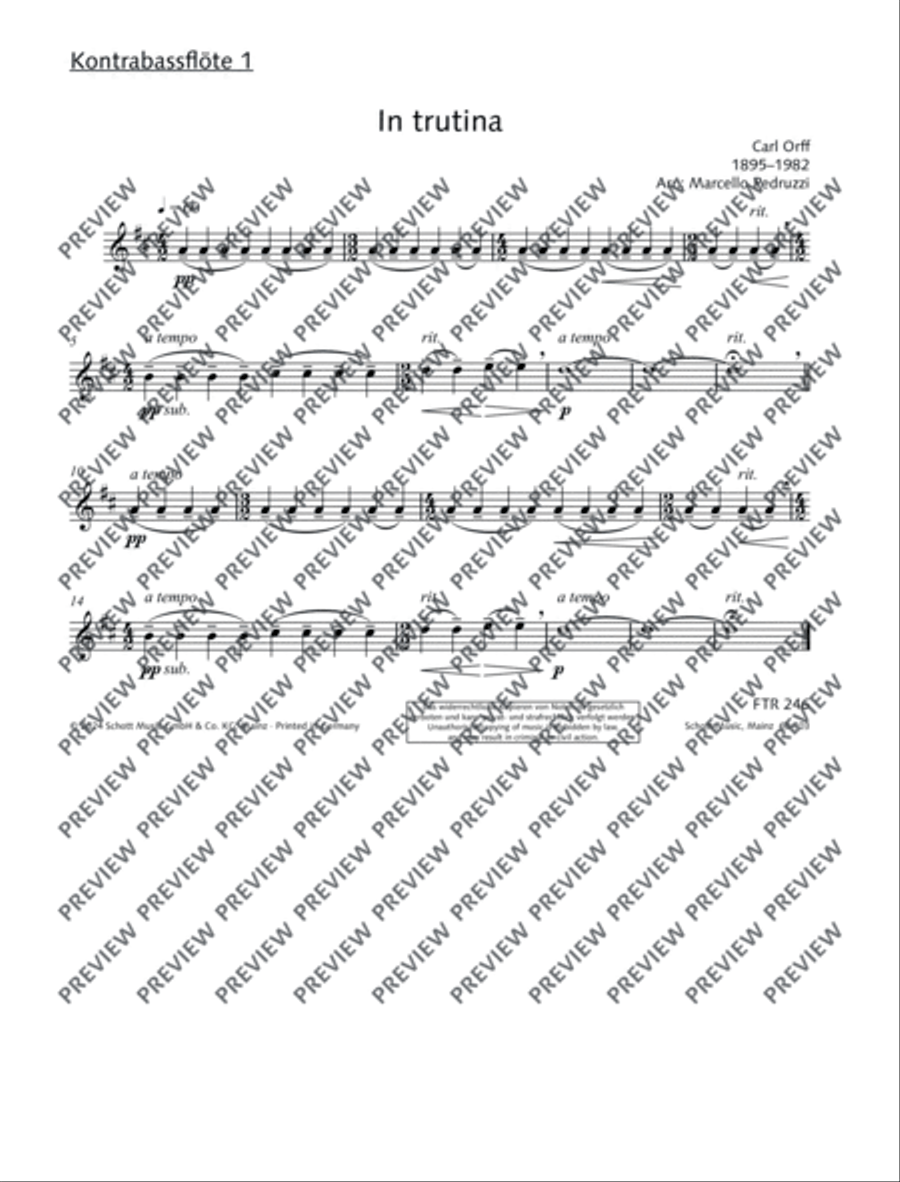 In trutina In trutina Flute Choir scores gallery preview page 20