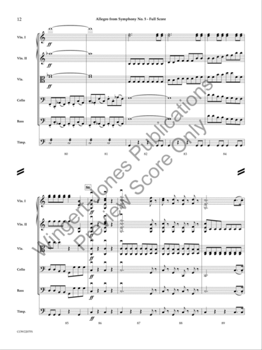 Allegro String Orchestra scores gallery preview page 11