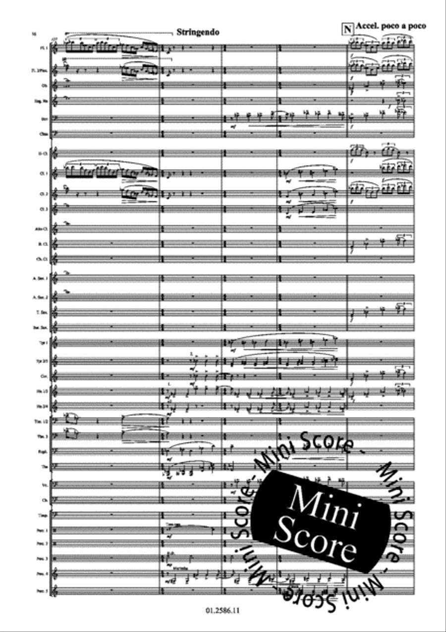 Skies Concert Band scores gallery preview page 24