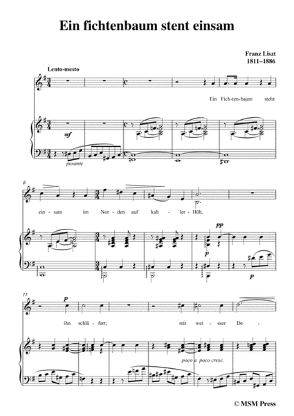 Liszt-Ein fichtenbaum stent einsam in e minor,for Voice and Piano image number null