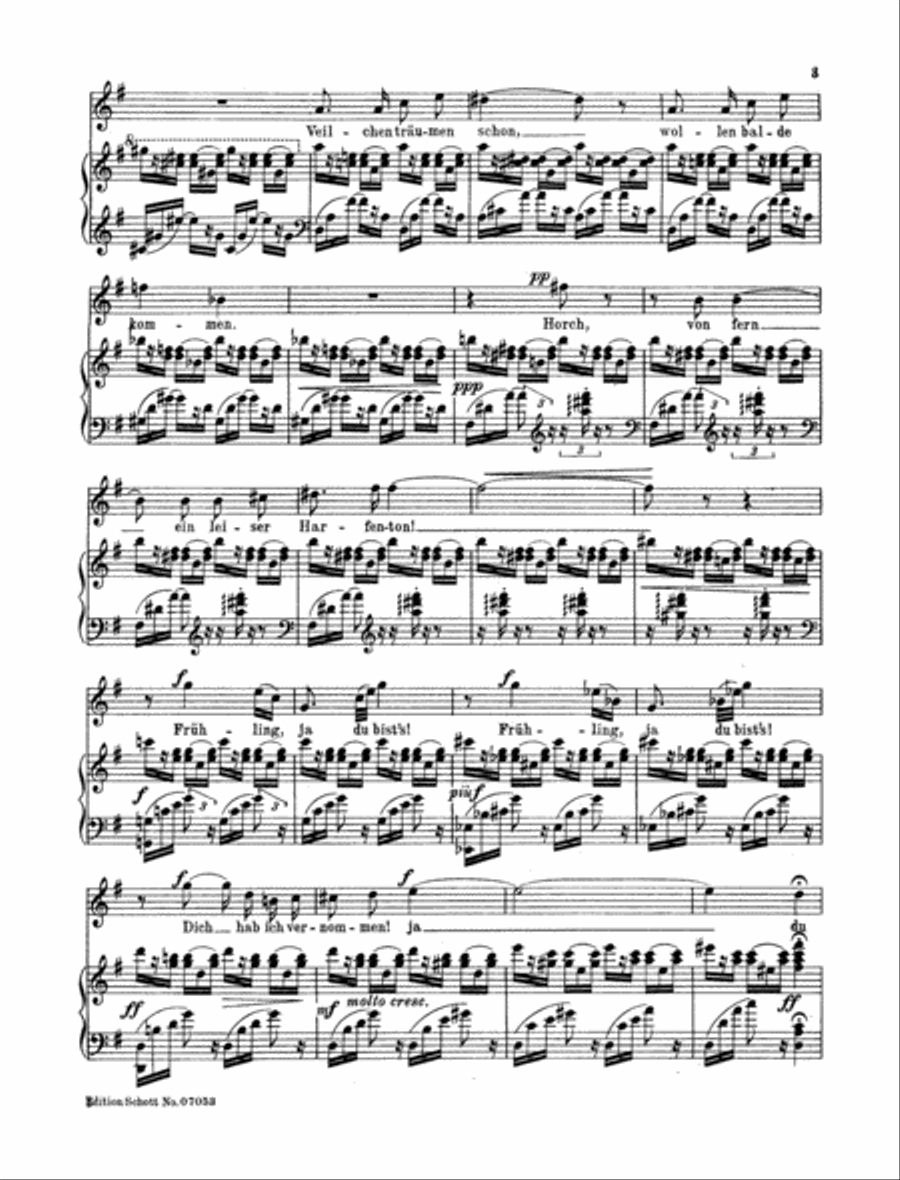 Er ist's / Der Gärtner High Voice scores gallery preview page 2