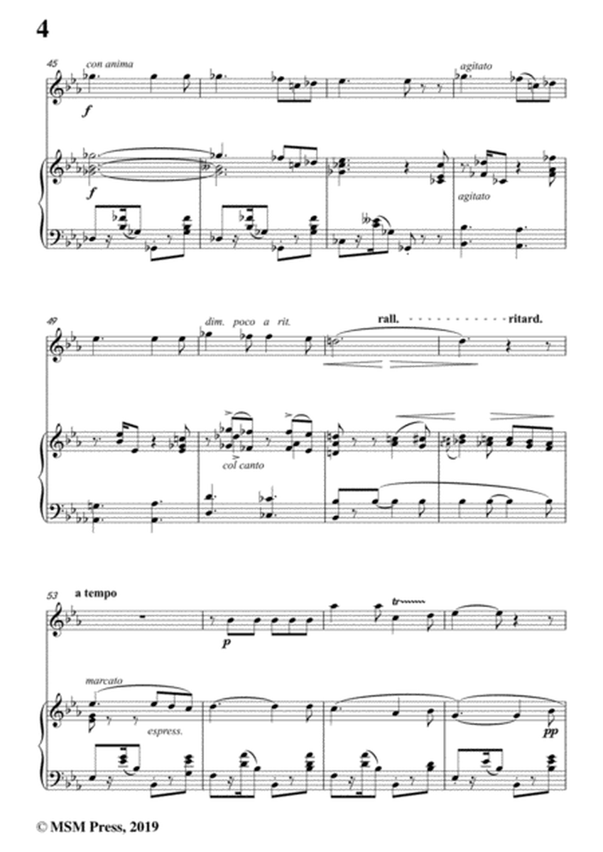 Tosti-Lamento d'amore, for Flute and Piano image number null