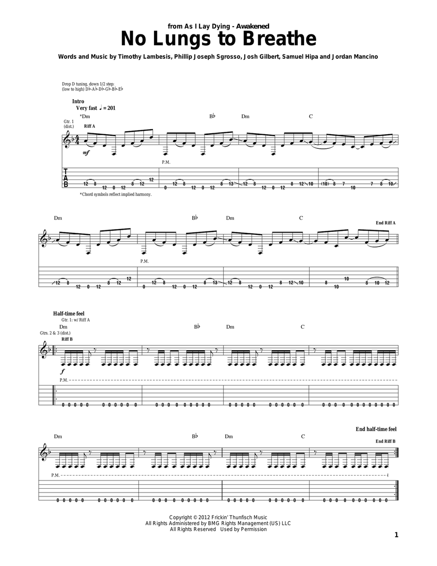 No Lungs To Breathe Acoustic Guitar scores gallery preview page 1