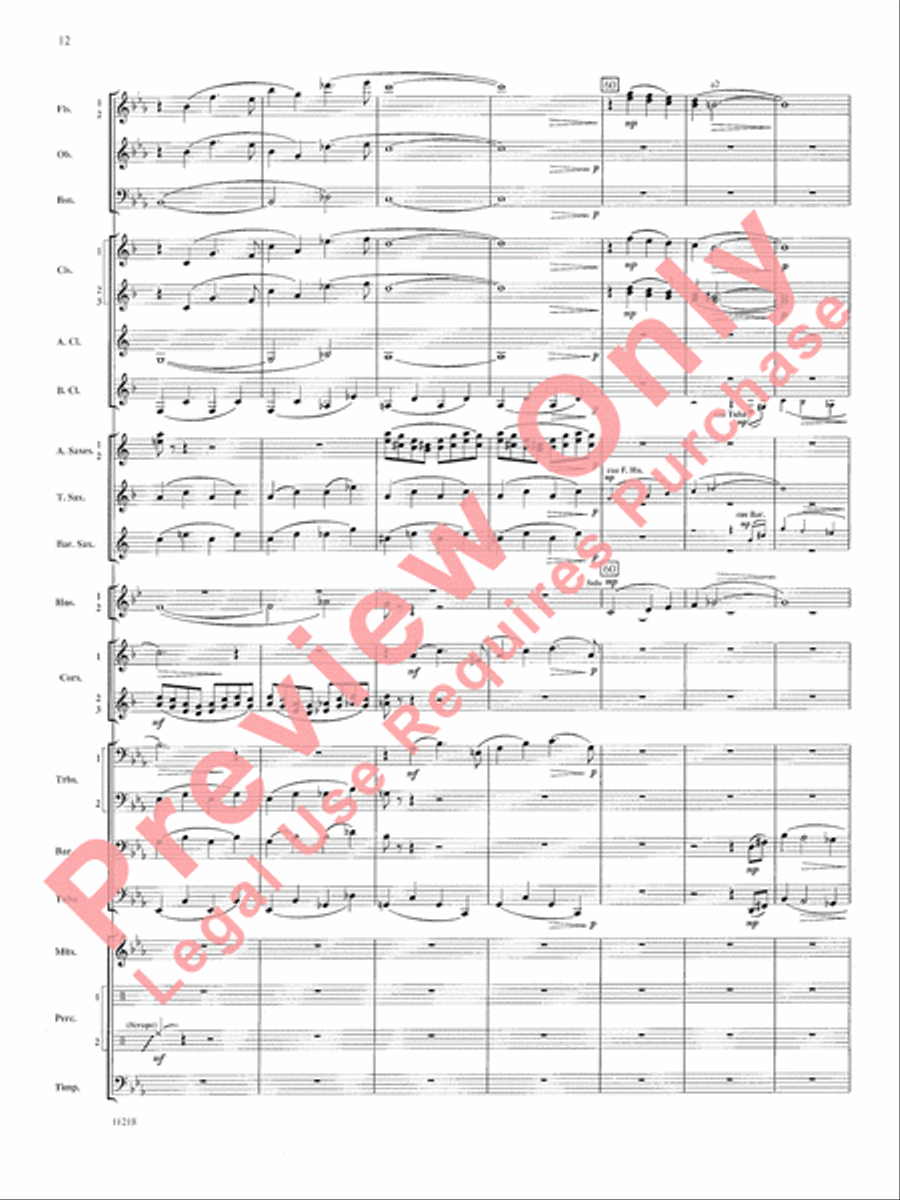Scenes of Wonder Concert Band scores gallery preview page 13