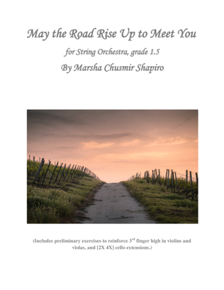 Book cover for May the Road Rise Up to Meet You