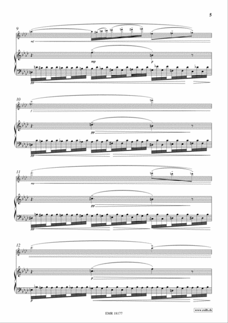 Aiqing Shenghuo Zhi Quan Flute Solo scores gallery preview page 5