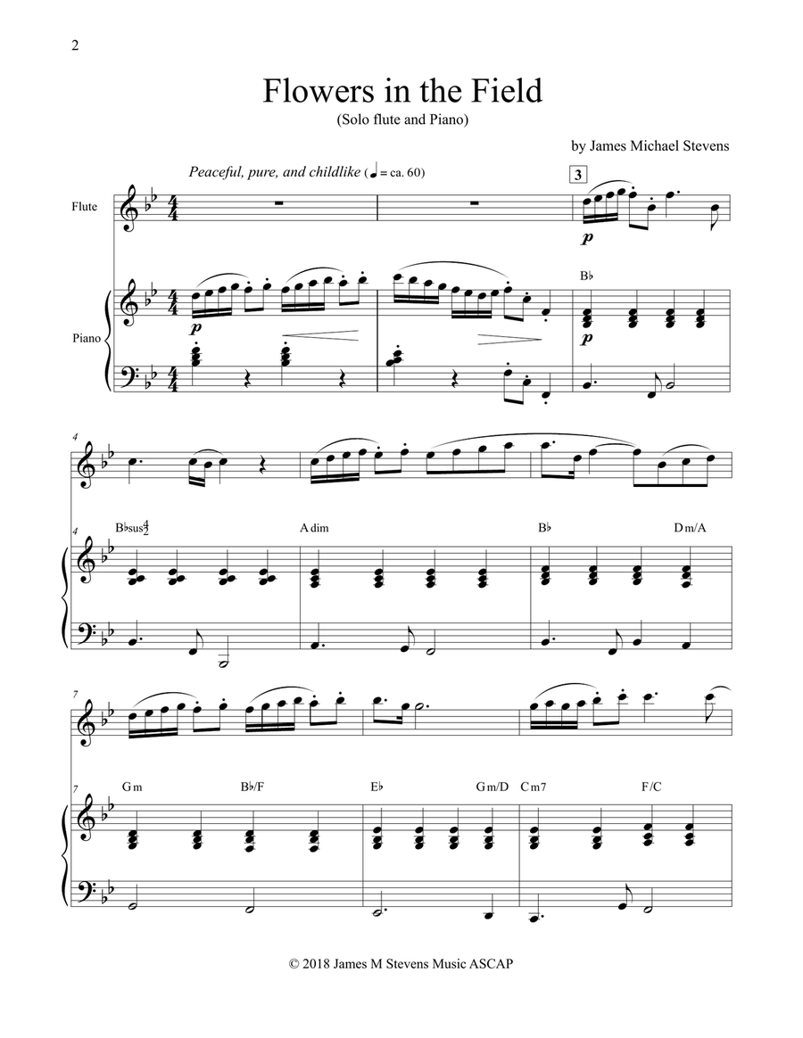Flowers in the Field - Solo Flute & Piano Flowers in the Field - Solo Flute & Piano Flute Solo scores gallery preview page 2