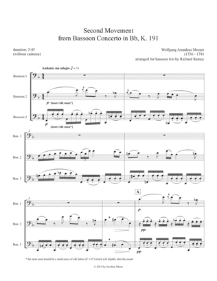 Book cover for Concerto for Bassoon (2nd movement)