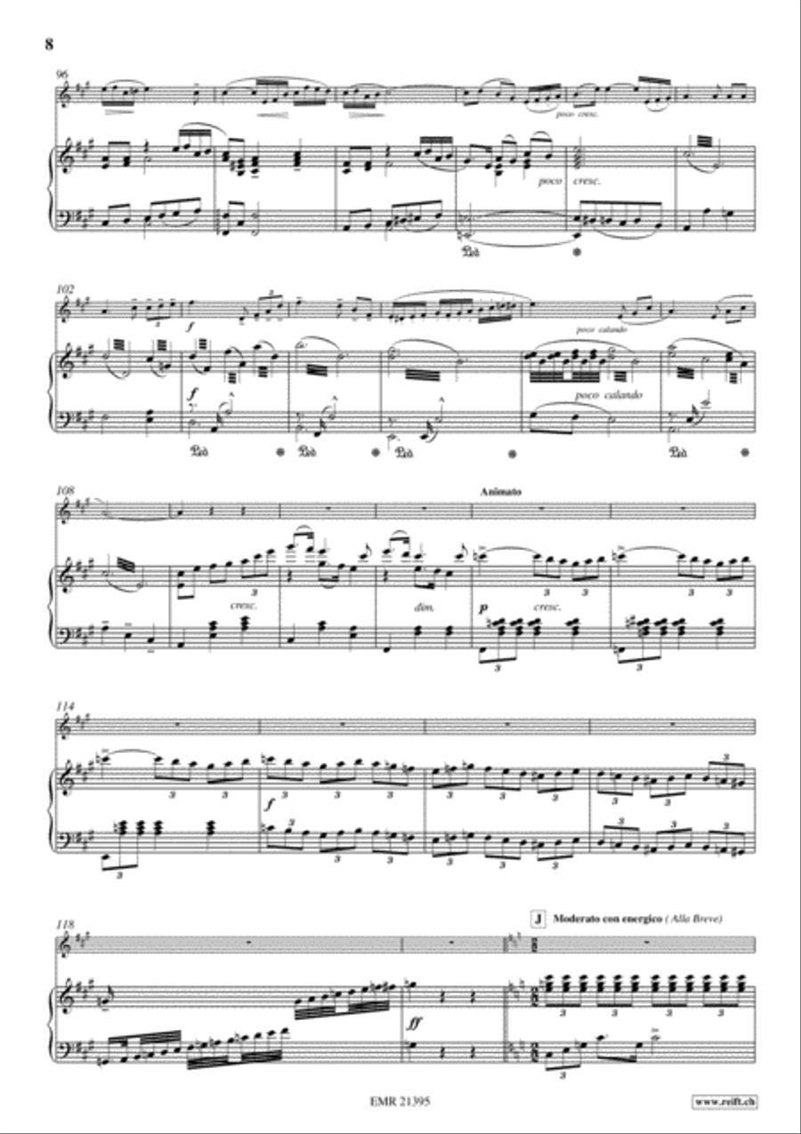 Concerto No. 5 Tenor Recorder scores gallery preview page 8