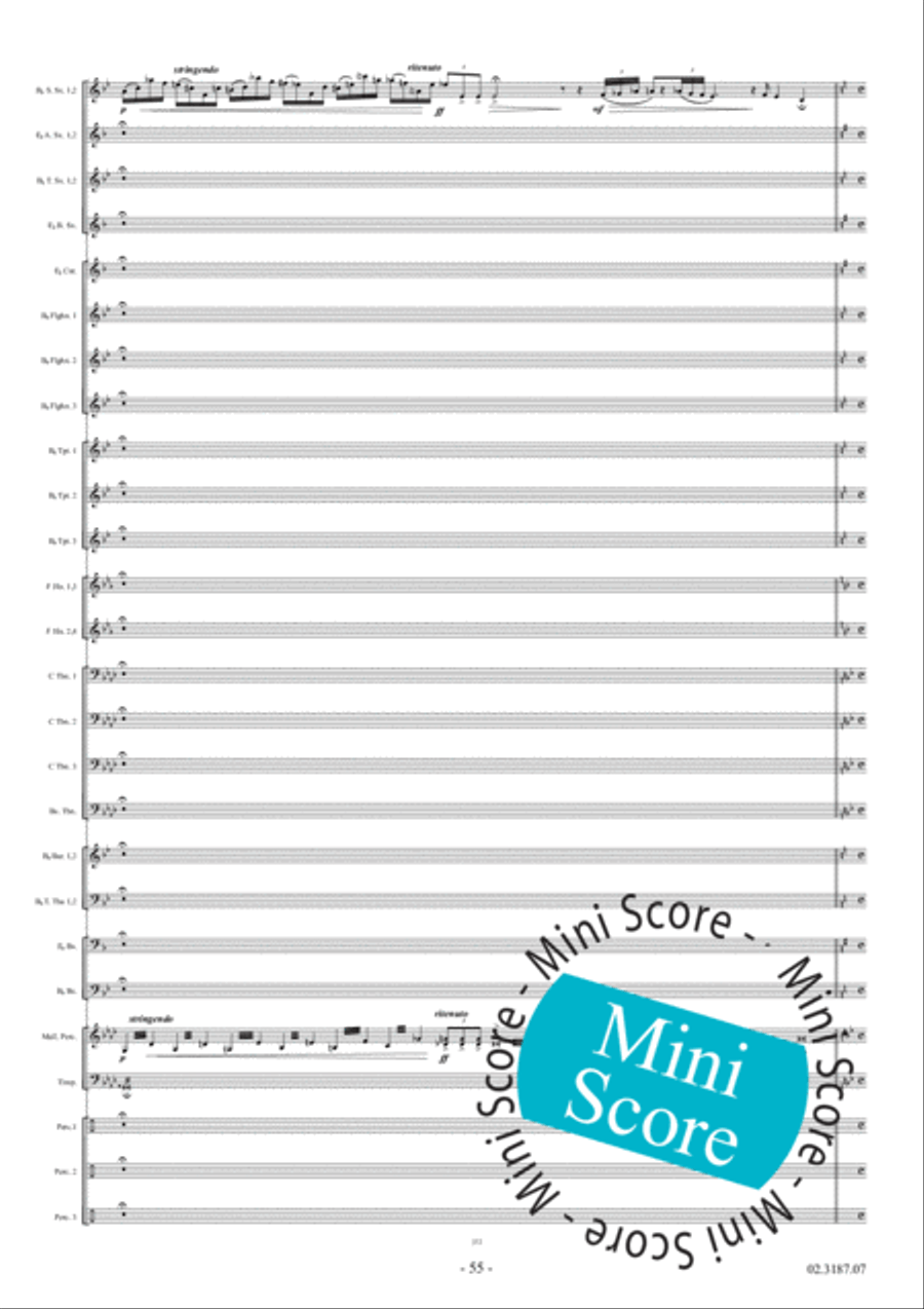 Fleodrodum Fanfare Band scores gallery preview page 61