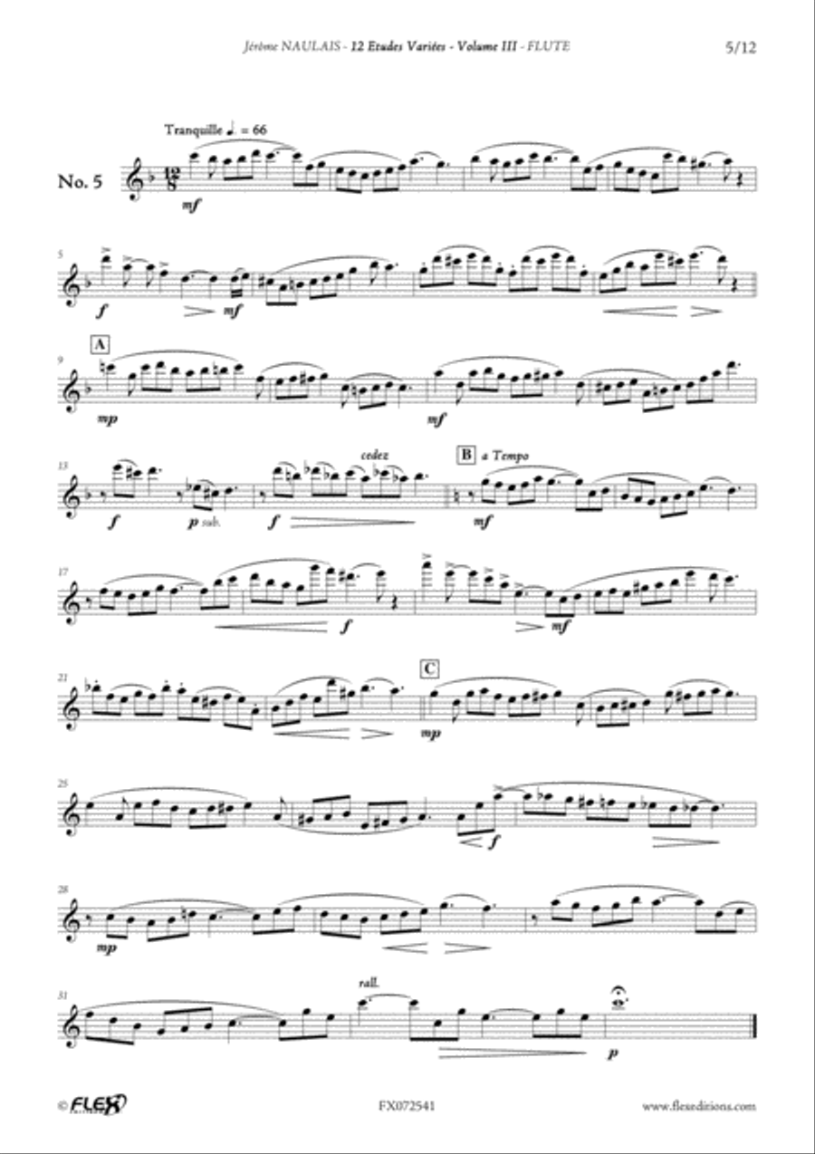 12 Etudes Variees - Volume III Flute Solo scores gallery preview page 6